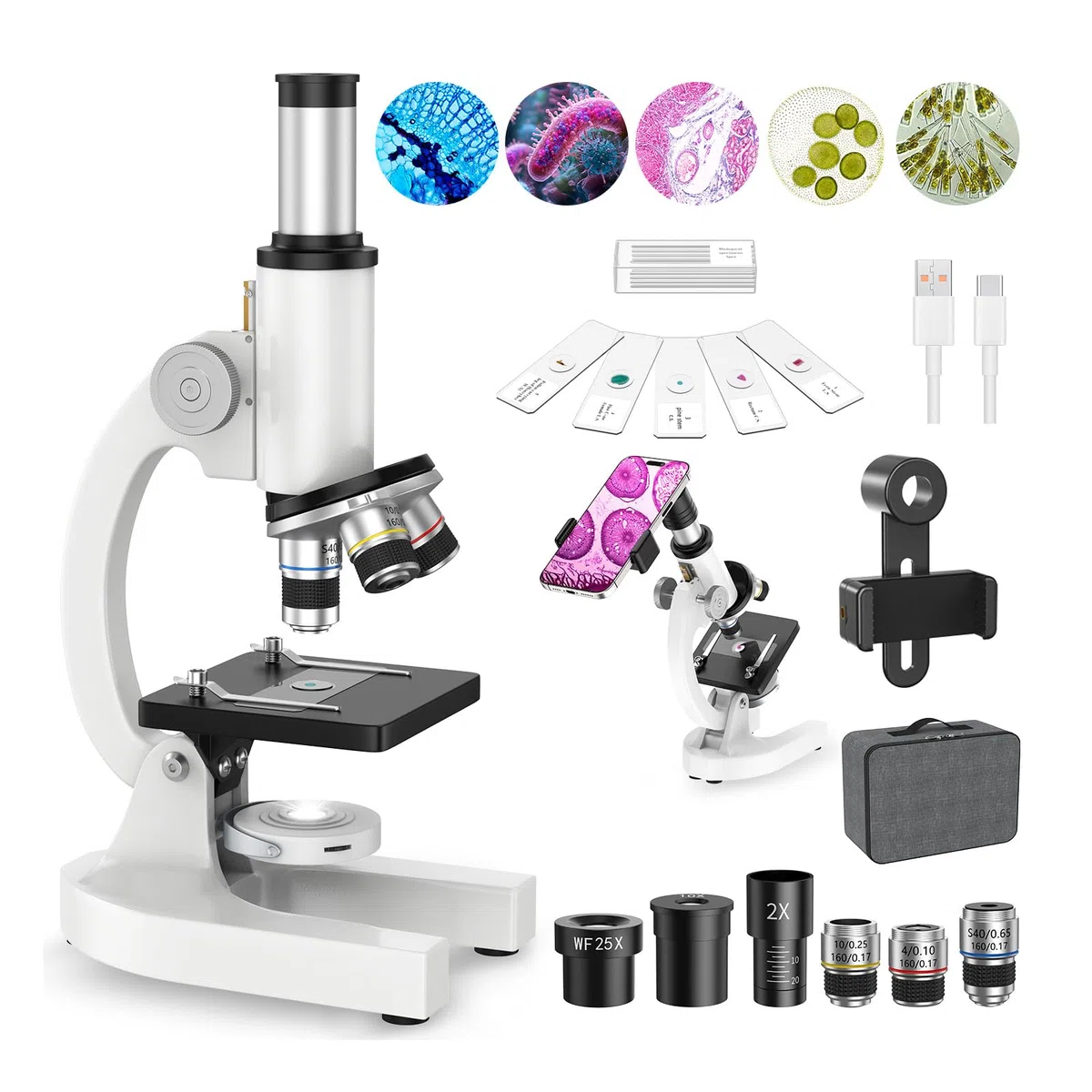 40X-2000X Mikroskop für Kinder Schüler Erwachsene: Biologie Monokulares Mikroskop für Labor, Zuhause und Schule - Microscope mit Koffer, Objektträgern, Telefonhalter - Geschenk für Kinder AB 6