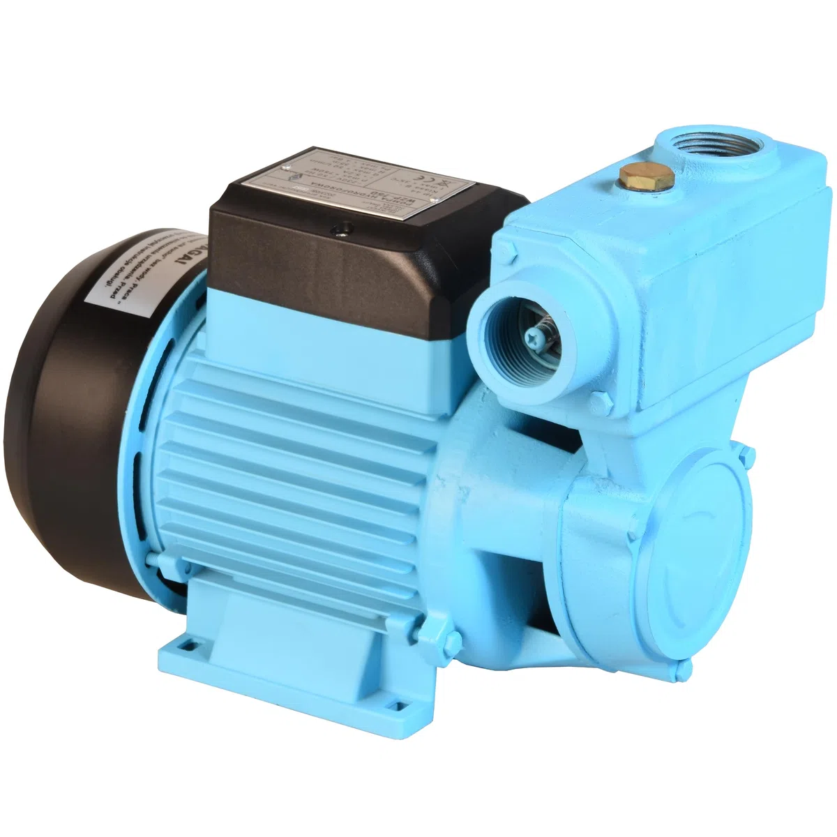 Wasserpumpe WZP 750 (750 W, 3000 l/h Förderleistung, 55m Förderhöhe) - für Sauberes Wasser - Hauswasserwerk Gartenpumpe Bewässerungspumpe Regenwasserpumpe
