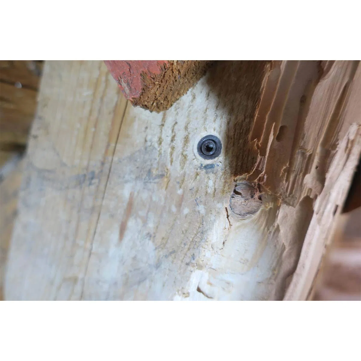 DALEP, 500 Stück Holzeinspritzdüsen Ø 9,5 mm – 609500, ohne Kopf, Hammer, für wasserabweisendes Holz, Holzeinspritzung, Behandlung von Dachböden, Verkauf pro Packung mit 500 Stück