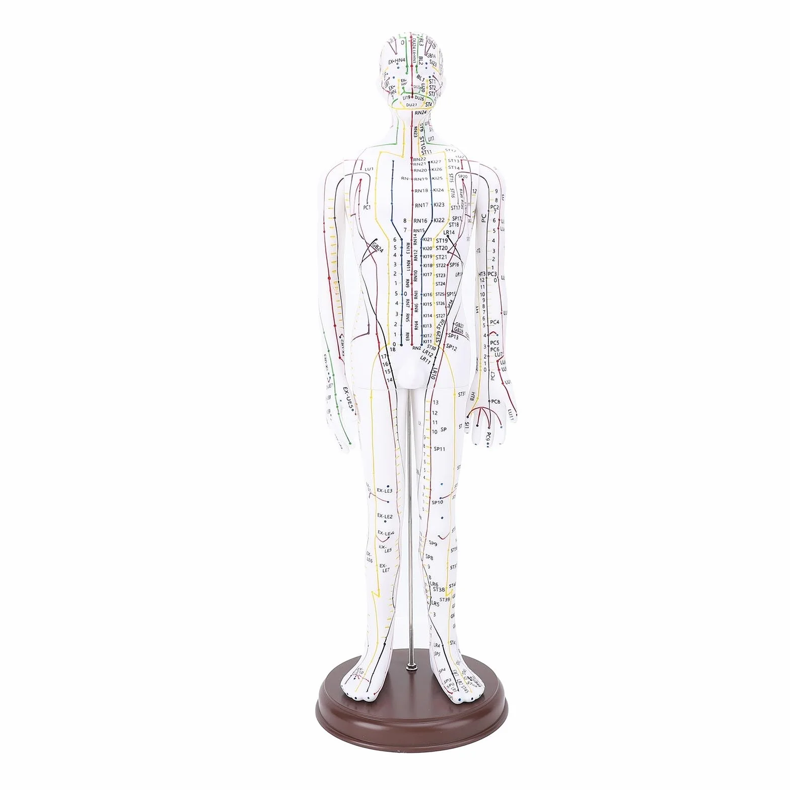 Akupunkturmodell, 20,47 Zoll PVC-menschlicher Körper, Professionelle Akupunkturpuppe mit Sockel für die Demonstration des Schülerunterrichts, Hochauflösende Gravur (Männlich)