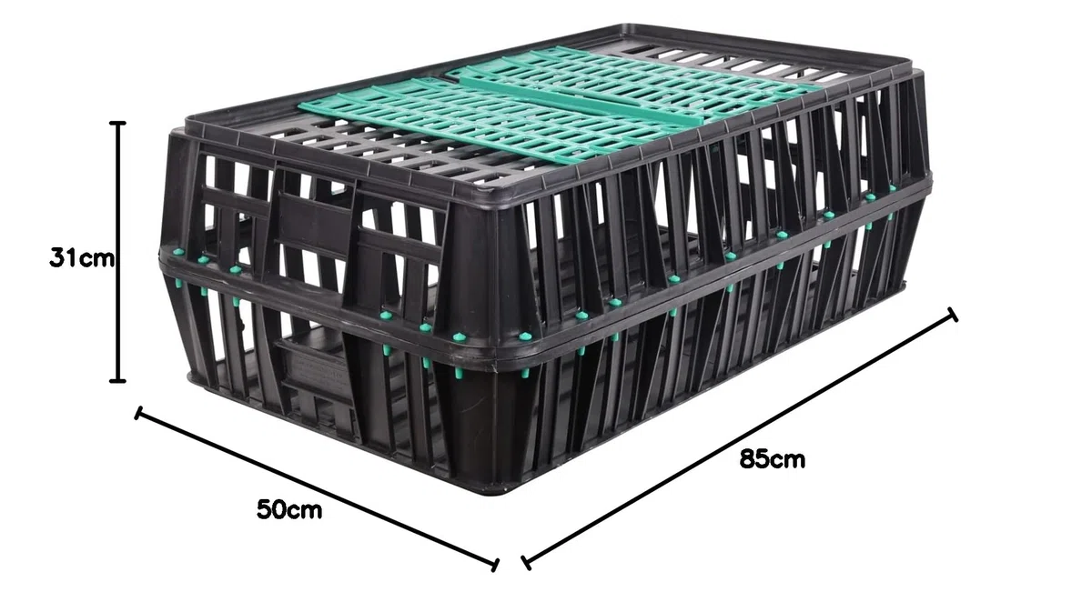 Geflügeltransportkiste 85x50,5x31cm mit 2 Türen in schwarz mit grünen Türen