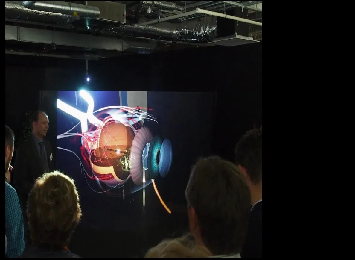 Holografische Rückprojektionsleinwand Transparent Schutzfolie Screen Sheet Hologramm Schutzfolie Fenster Projektionsmaterial für Schaufenster, Messen, Events, Heimkino