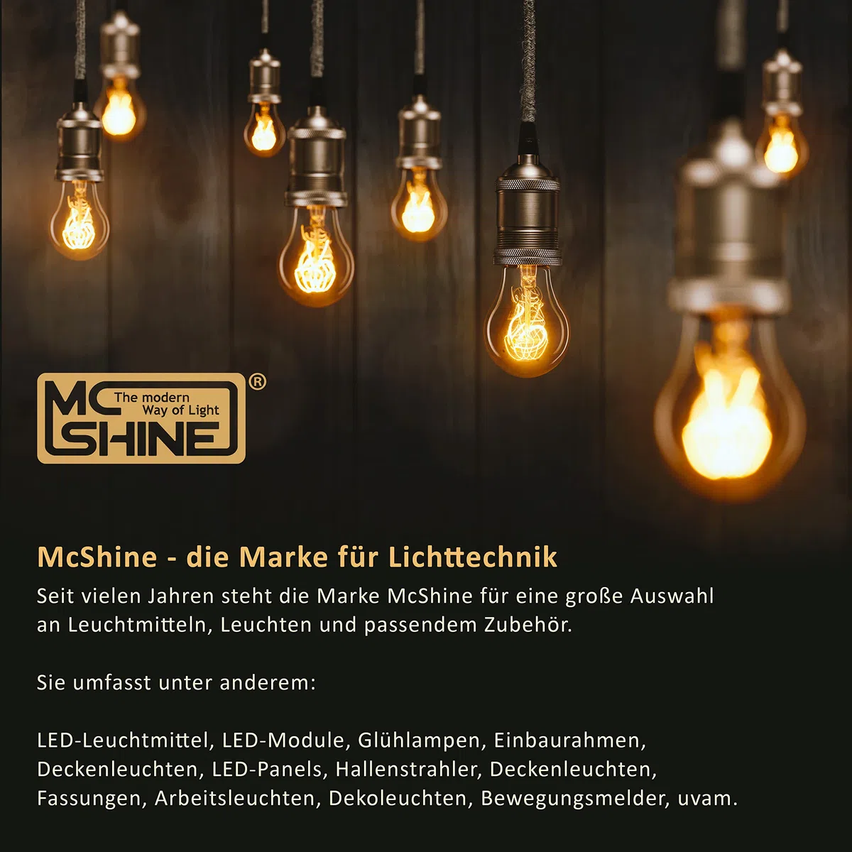 McShine - Wechselrichter für Solarmodule | 300W, 5M Kabel, IP55 | Wechselrichter für Solar Balkonkraftwerk, MPPT 24V-40V