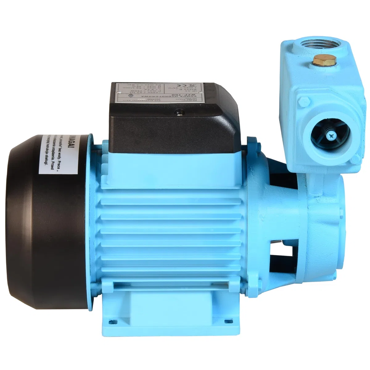 Wasserpumpe WZP 750 (750 W, 3000 l/h Förderleistung, 55m Förderhöhe) - für Sauberes Wasser - Hauswasserwerk Gartenpumpe Bewässerungspumpe Regenwasserpumpe
