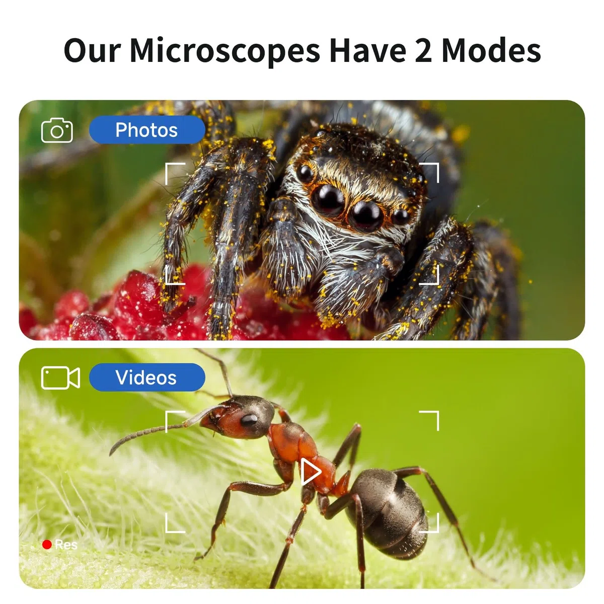BEAVERLAB Mikroskop für Kinder, digitales Mikroskop 100X-1600X, 4,0" IPS Mikroskop, 1080P HD Taschenmikroskop mit 8 einstellbaren LED-Lights, drahtlose Handheld Microscope für Handy PC/TV
